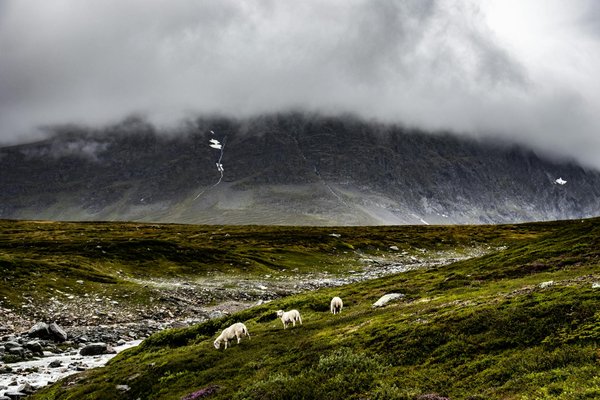 Où trouver des cours de cuisine portugaise à Lisbonne pour un budget réduit ?